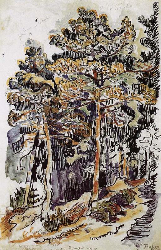 Paul Signac Pine